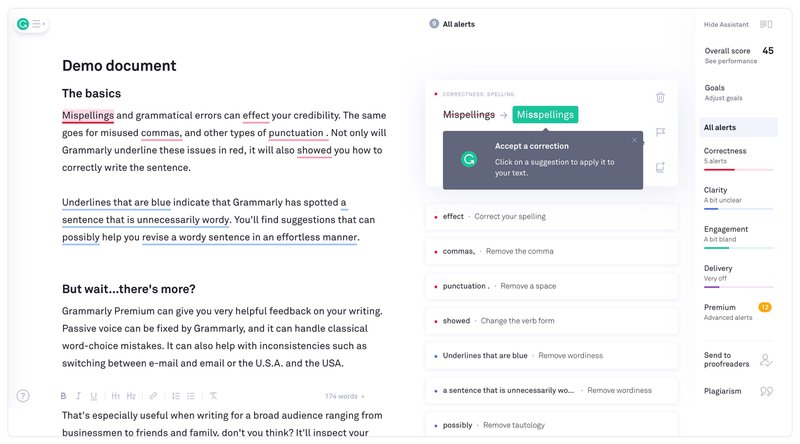 grammarly product experience
