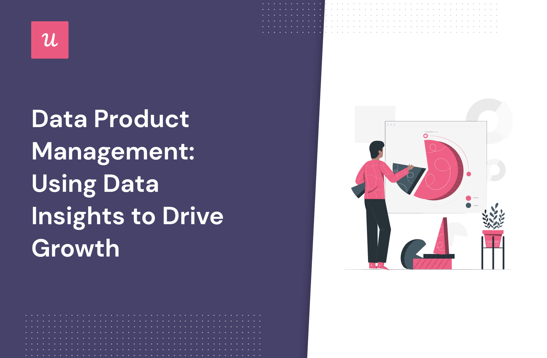 Data Product Management: Using Data Insights to Drive Growth cover