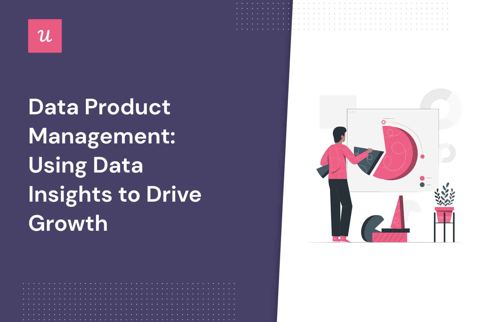 Data Product Management Using Data Insights to Drive Growth