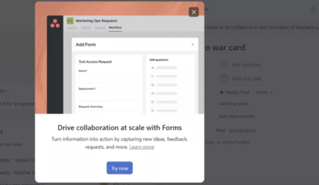 asana feature - customer experience lifecycle