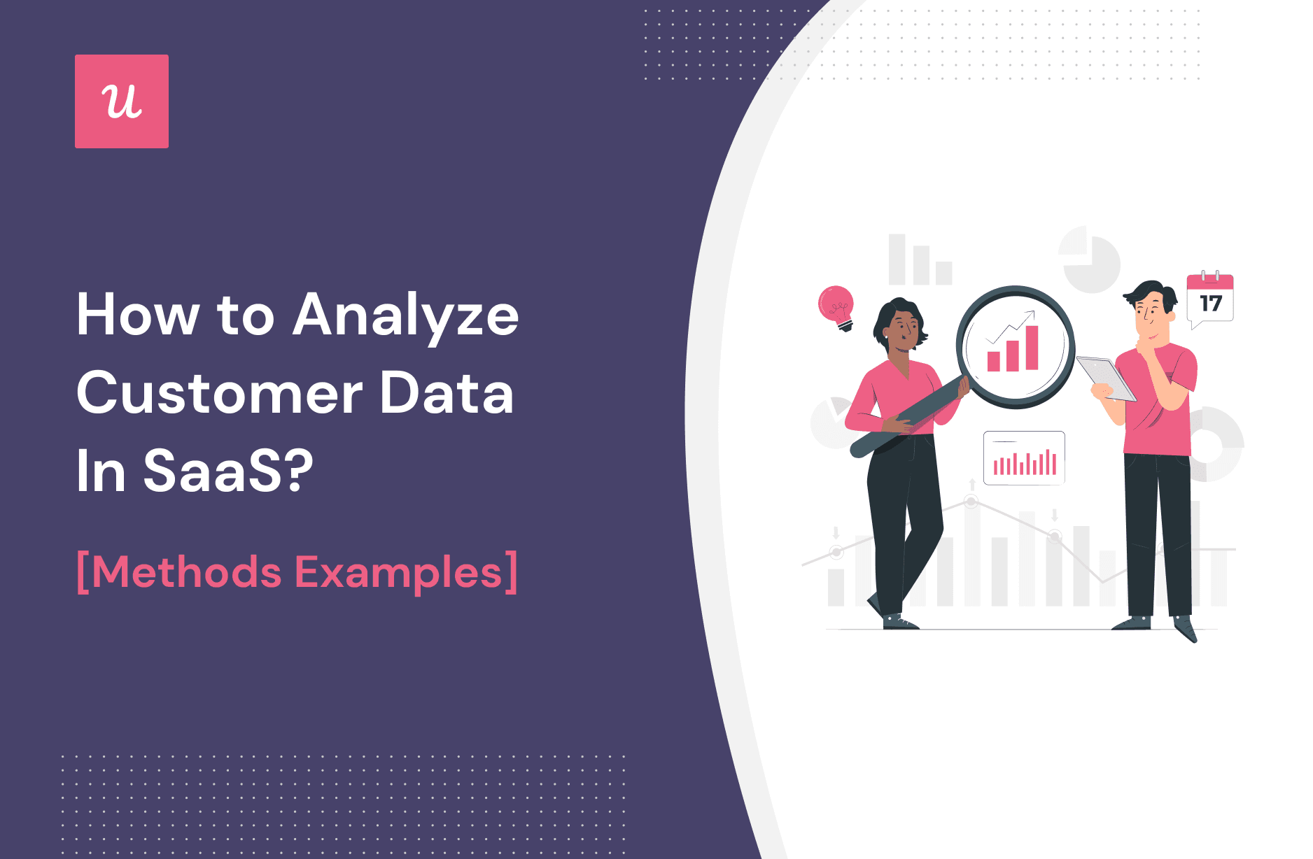 How to Analyze Customer Data In SaaS? [Methods & Examples] cover