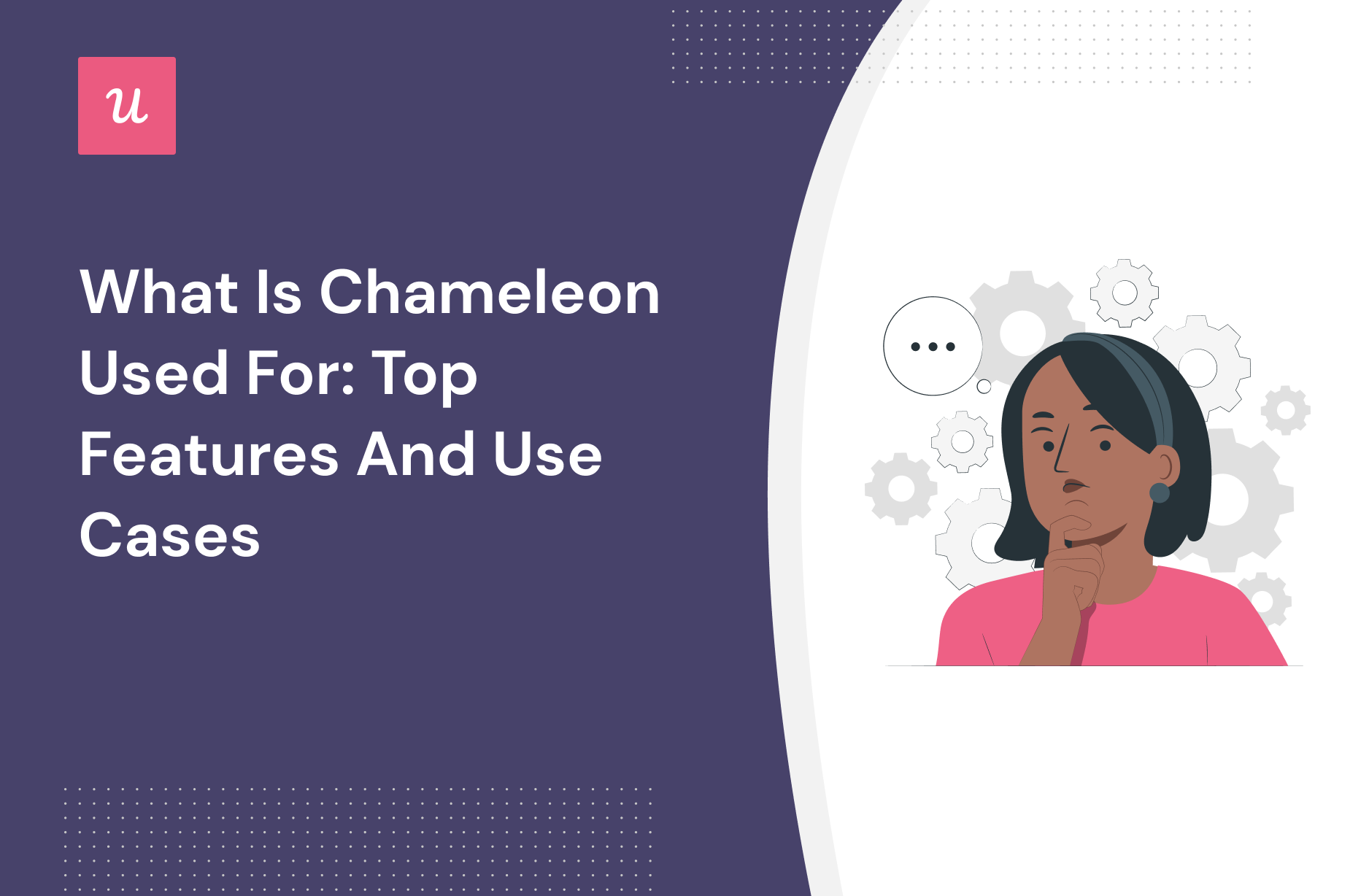 What Is Chameleon Used For: Top Features and Use Cases