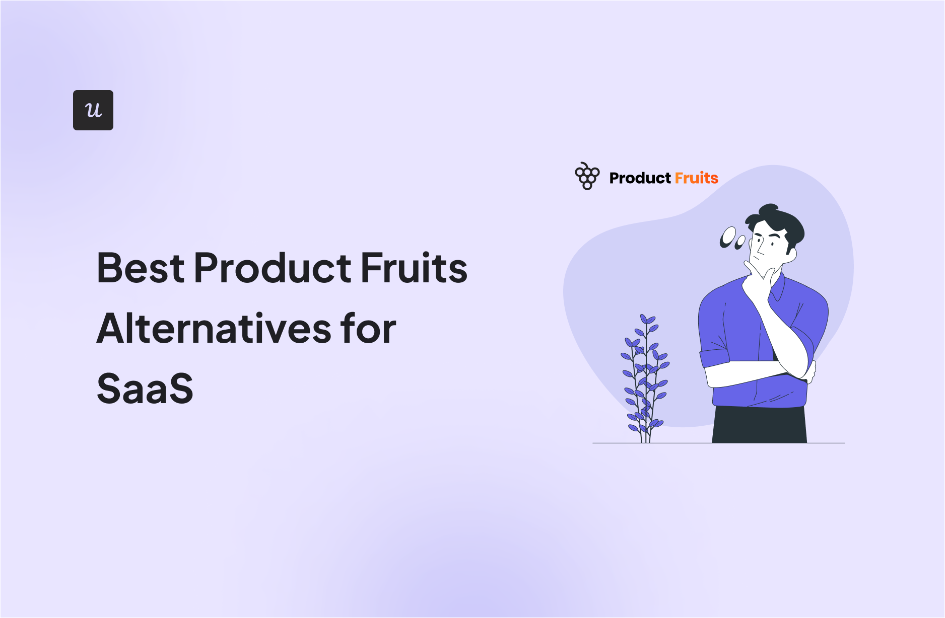 Best Product Fruits Alternatives for SaaS