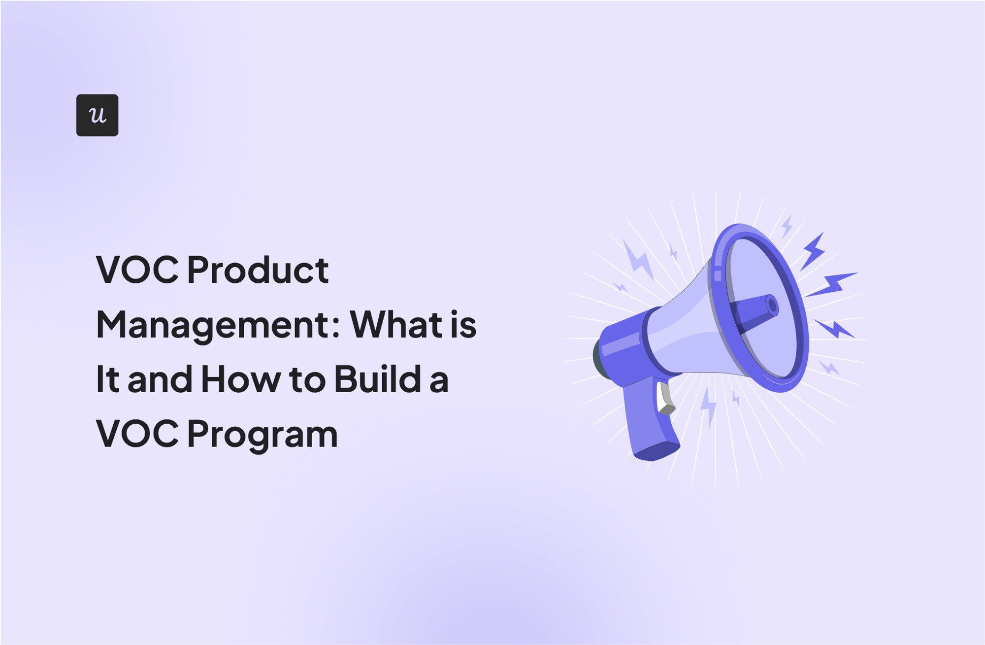 VOC in Product Management: What is it and How to Build a VOC Program cover