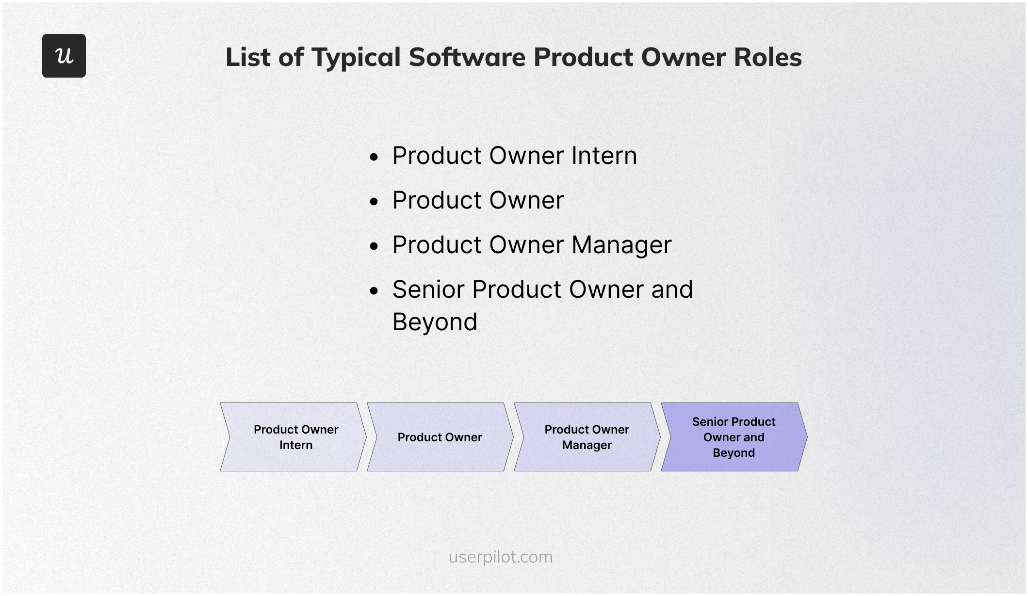 List of Typical Software Product Owner Roles
