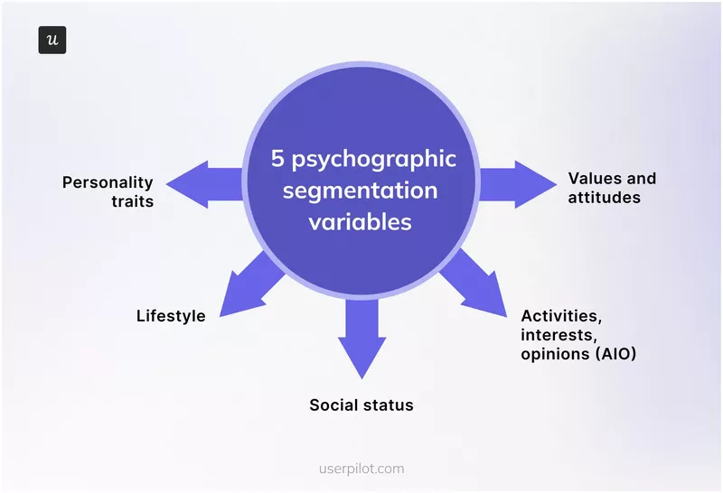 psychographic segmentation variables