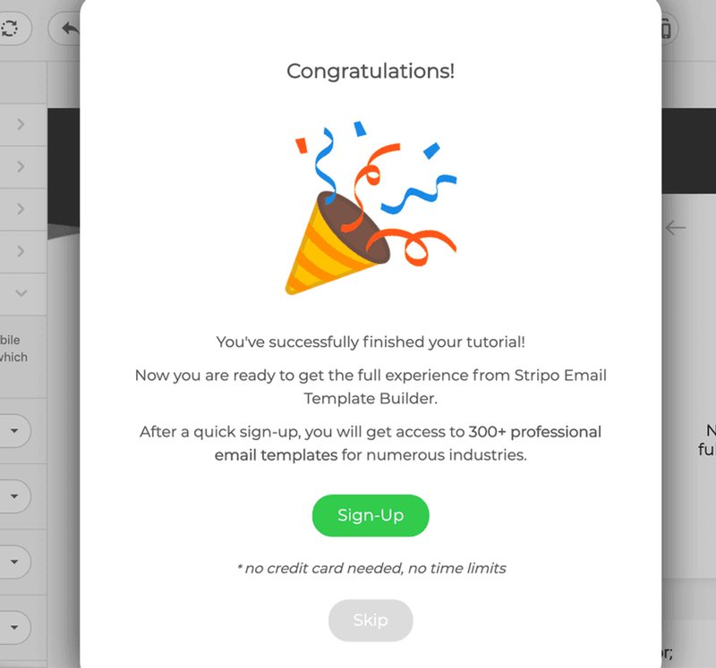 Stripo interface