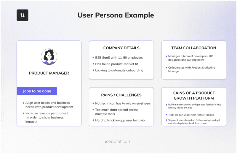 User persona example