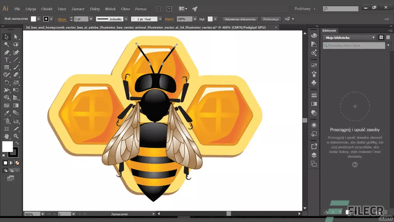 Using Adobe Illustrator for design.