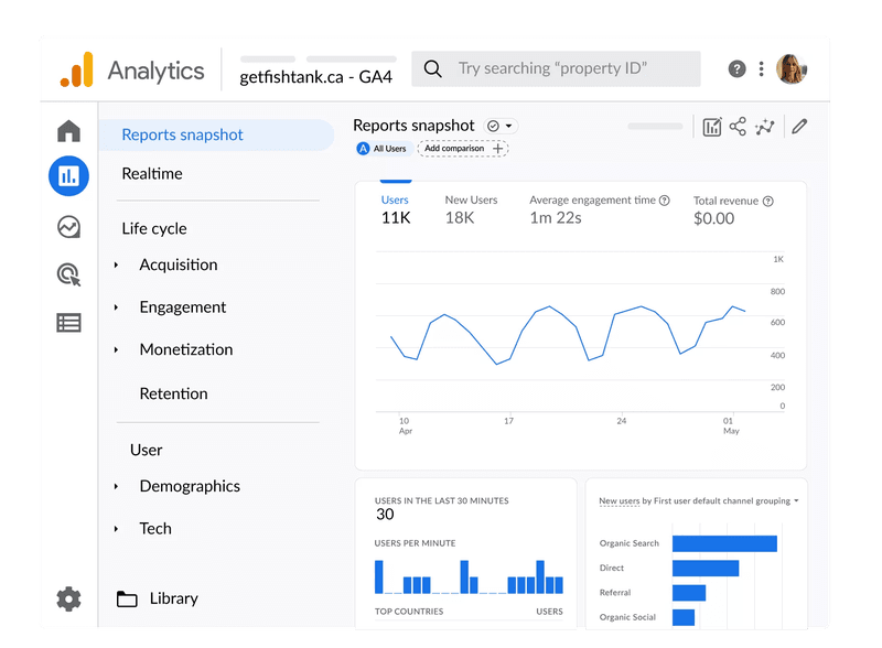 Google Analytics dashboard.