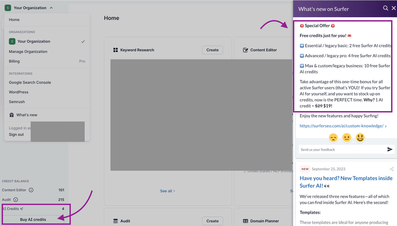 surfer product updates