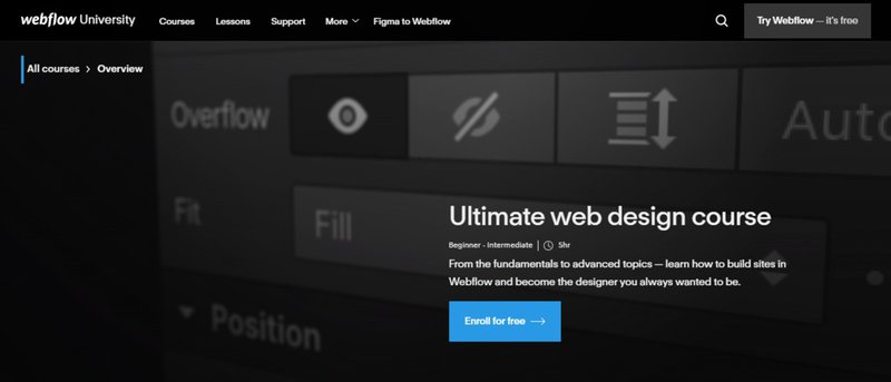 ultimate web design course - web-designer-vs-ux-designer