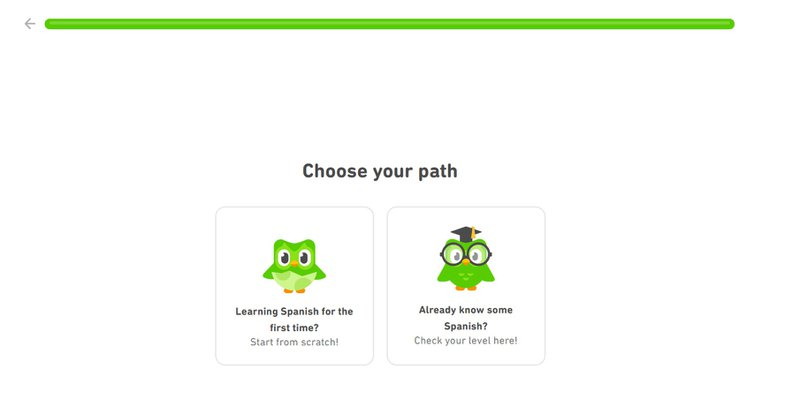 A screenshot of capturing user data from Duolingo