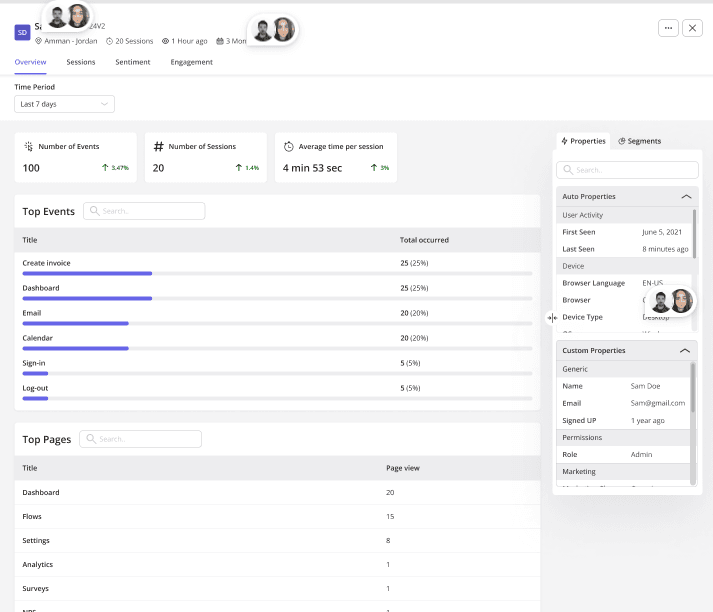 Data-driven analytics: Customer profile in Userpilot