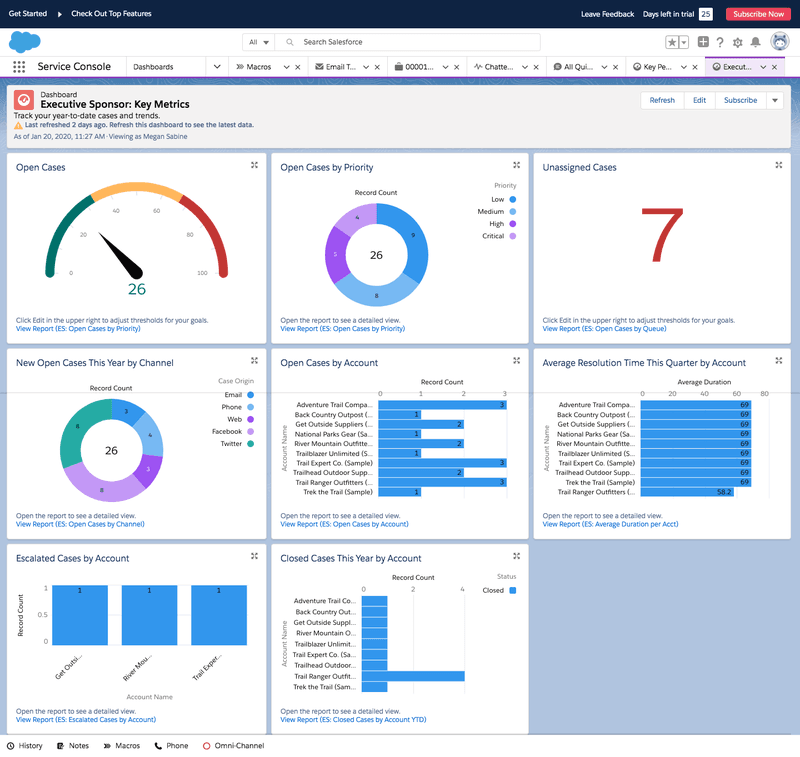SalesForce service console dashboard