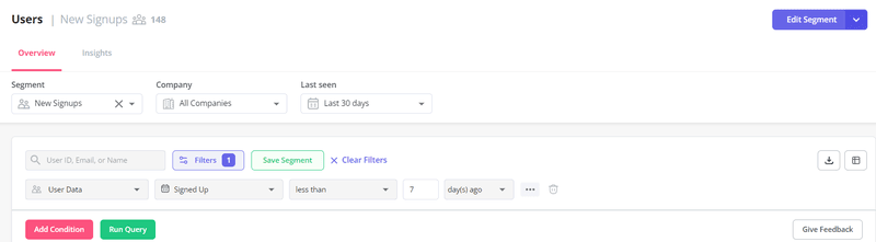 New user segment in Userpilot.