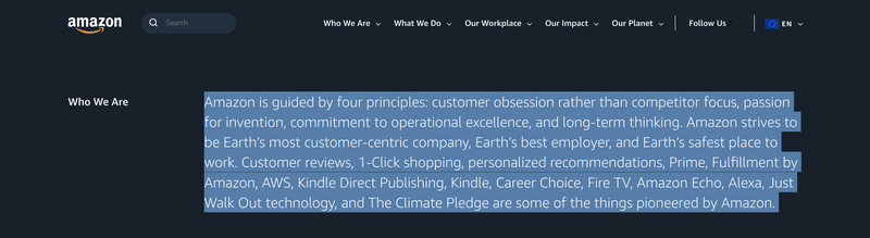 product vision examples amazon