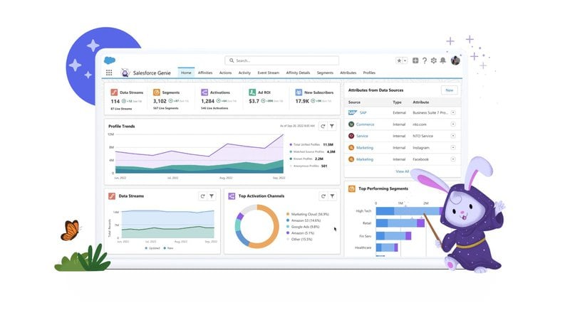 Salesforce sales-led growth strategy