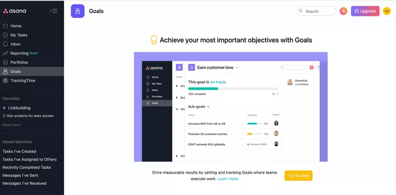 Asana’s premium account features
