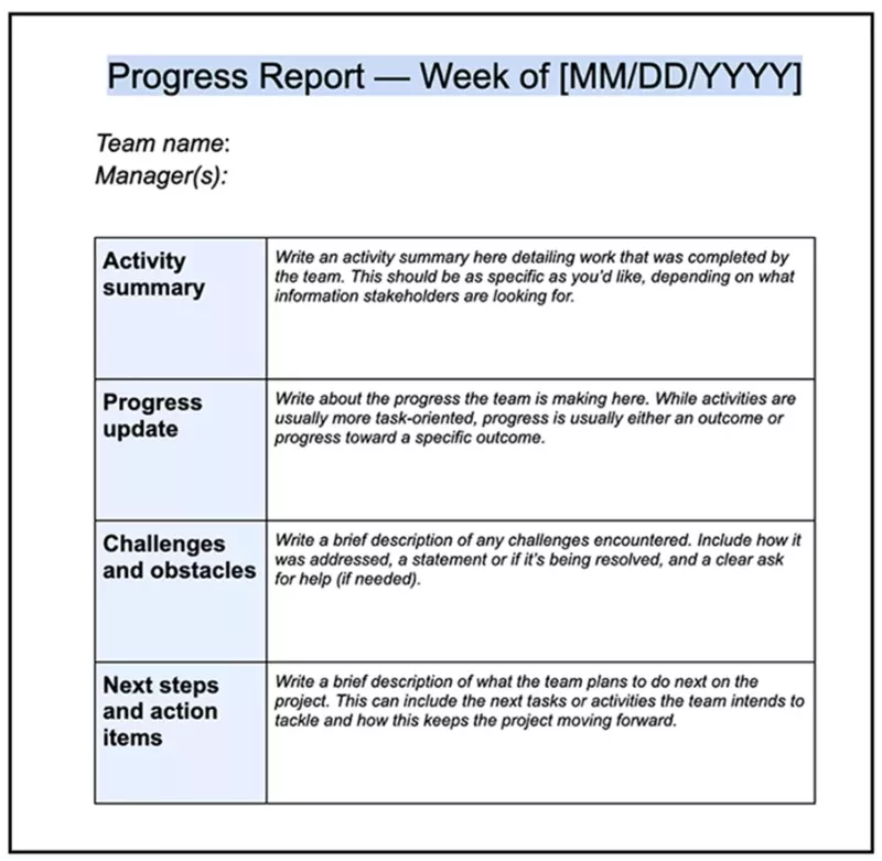 Progress report template