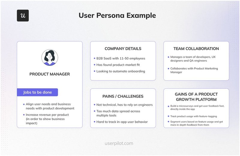 A example of user persona 