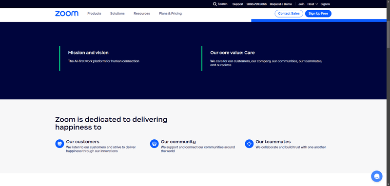 zoom vision statement examples