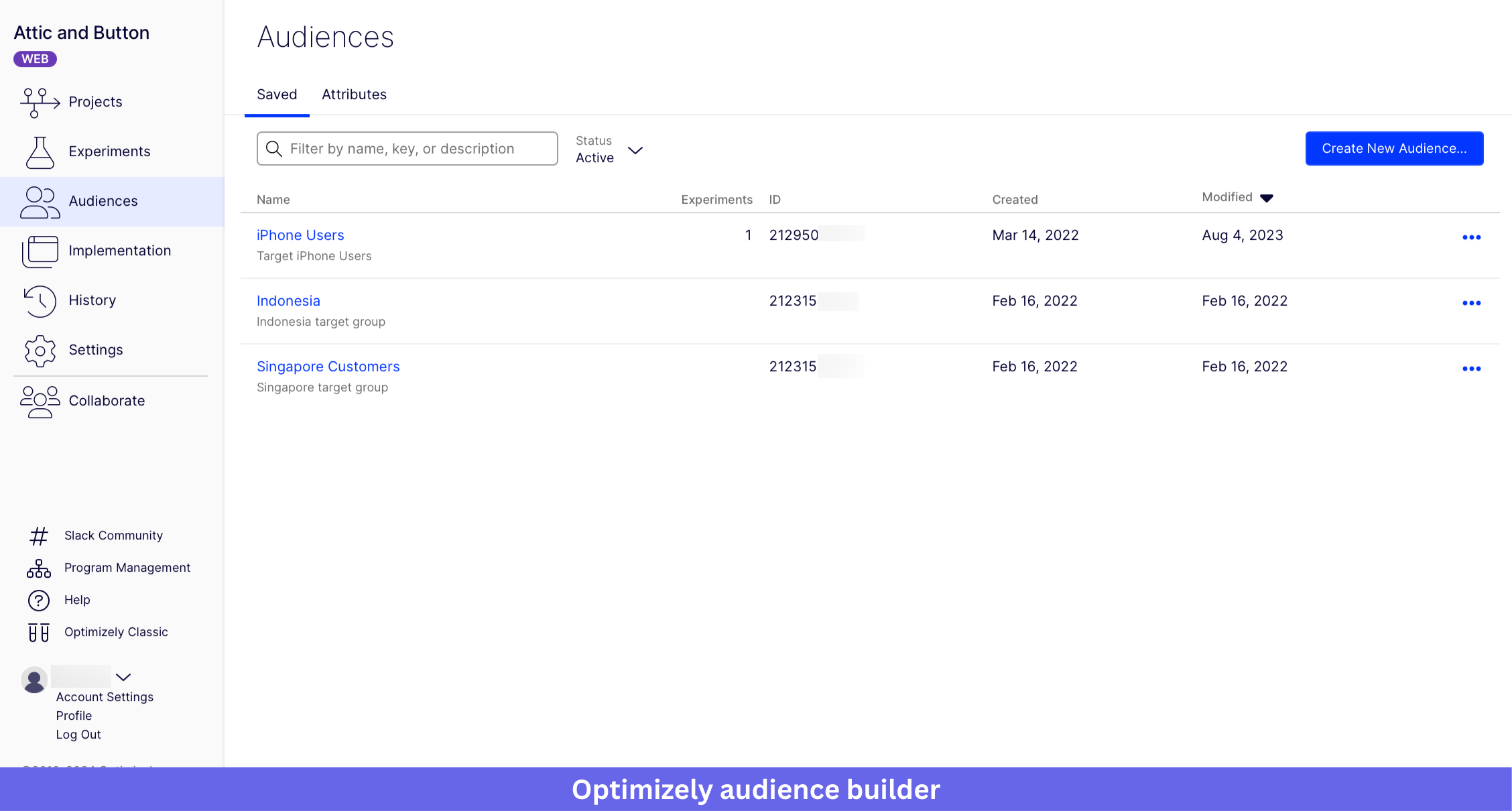 Optimizely audience builder