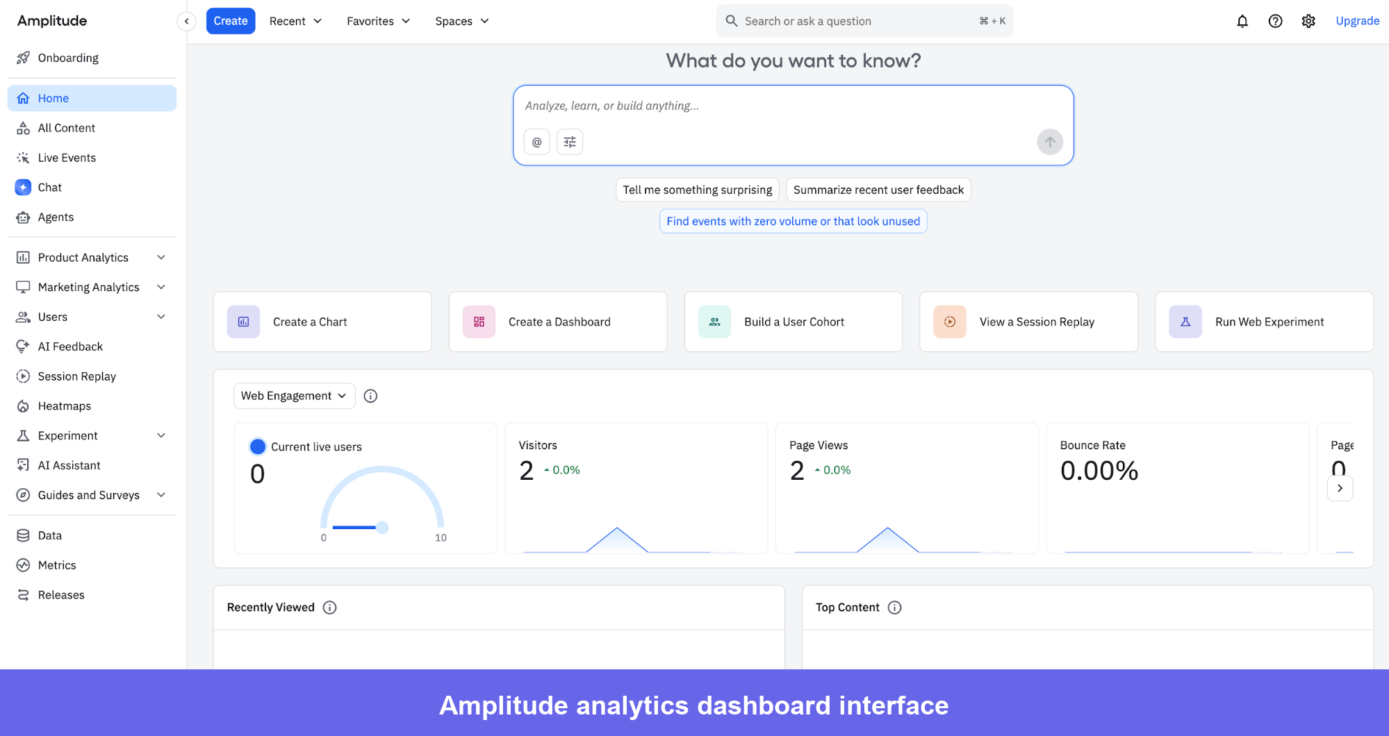 A fresh Amplitude dashboard showing visitors and pageviews