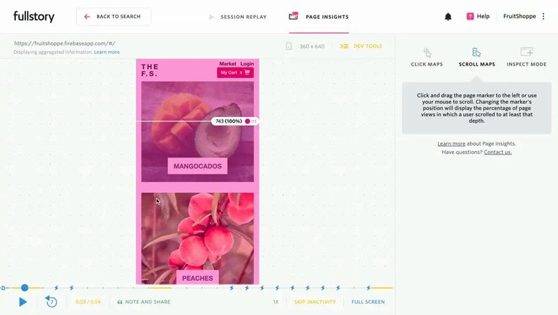 website bugs fullstory