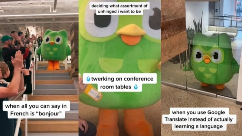 Compilation of Duolingo's viral tiktoks