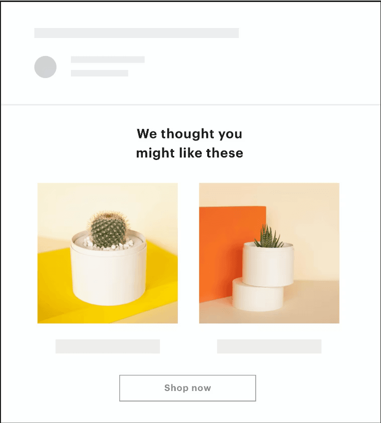 mailchimp best customer experience examples