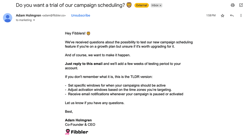Loyalty program email example: Fibbler.