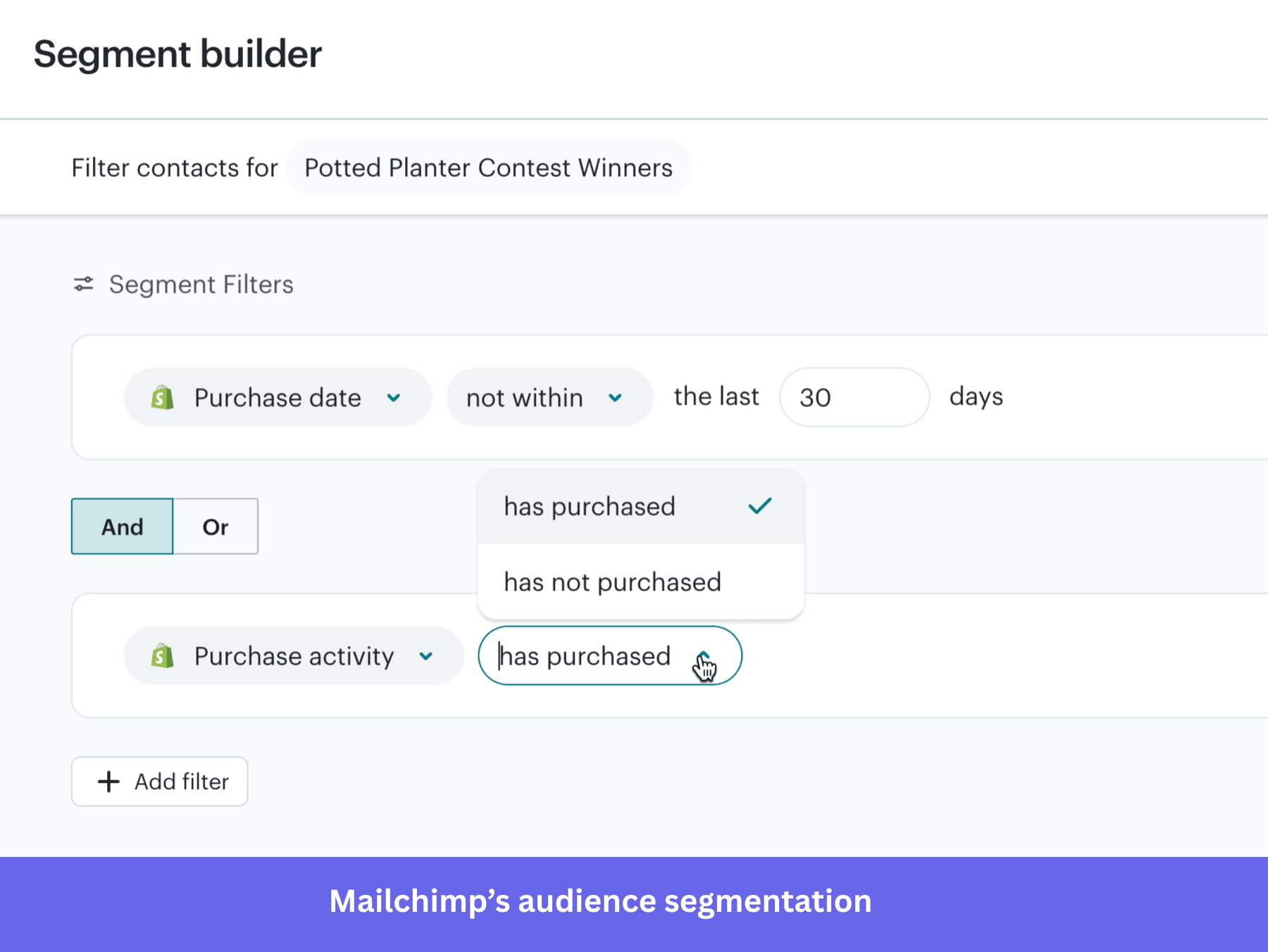 Mailchimp's audience segmentation feature