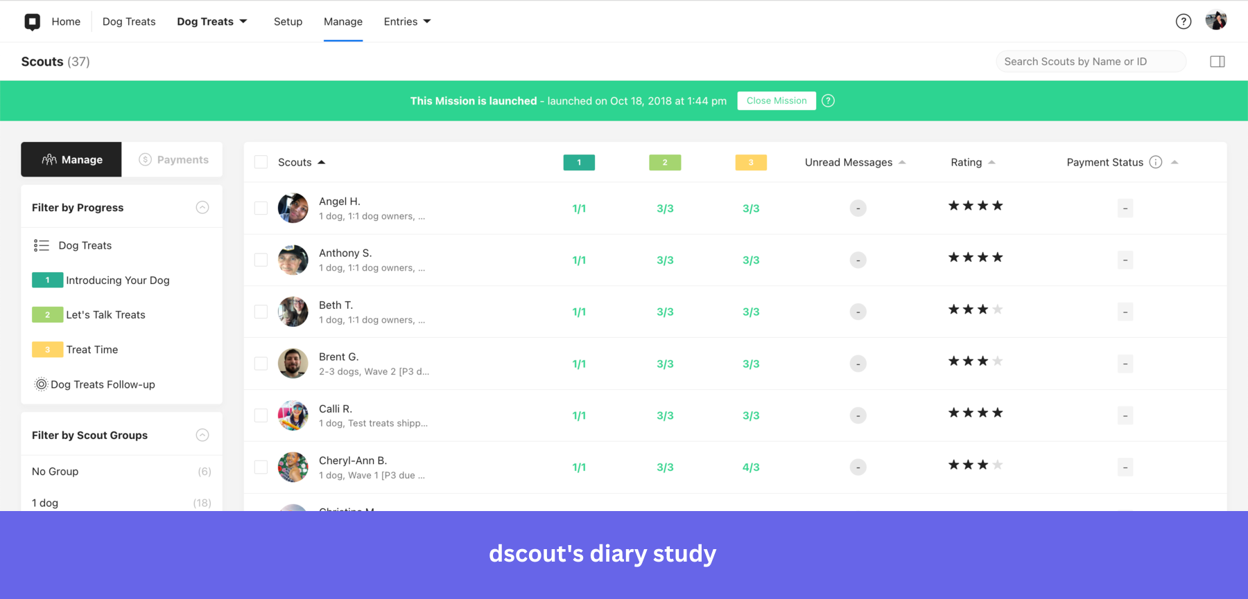 dscout diary study