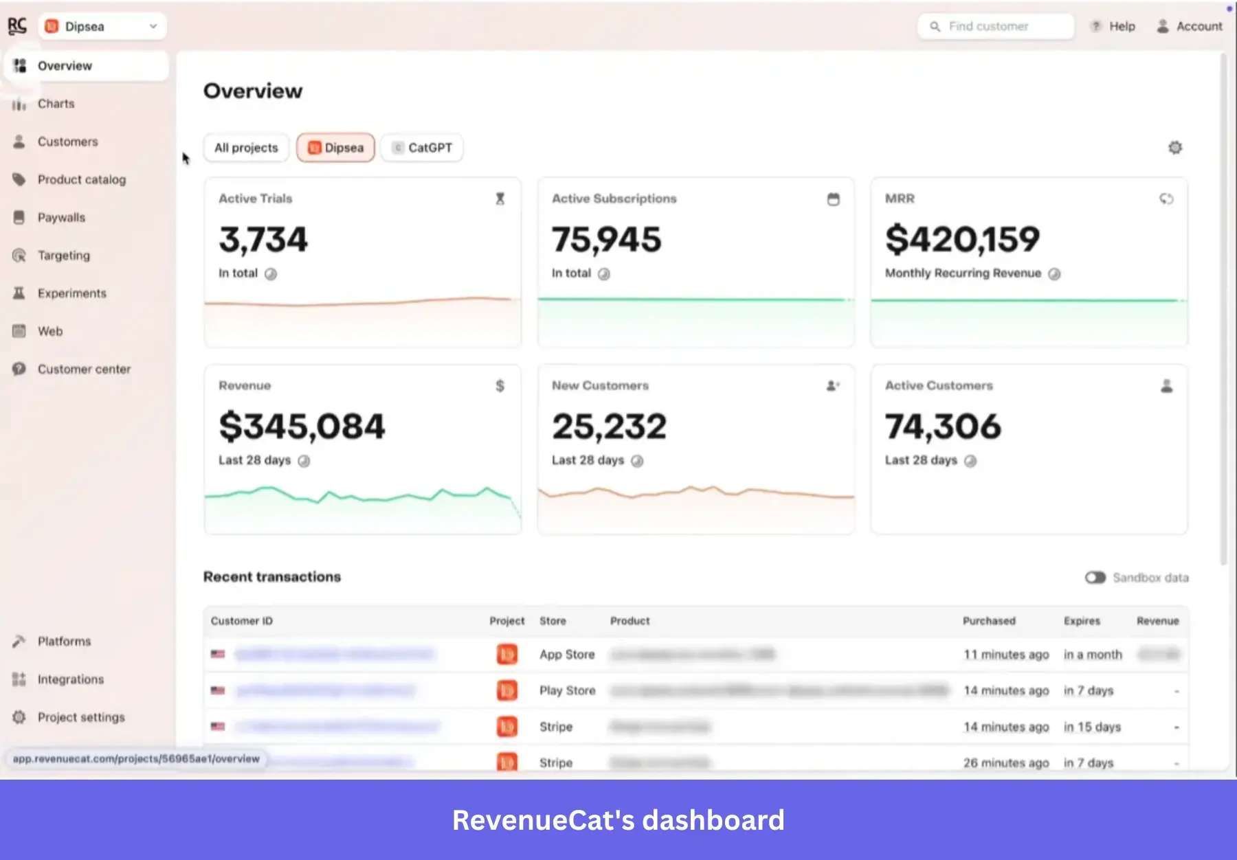 Subscription analytics data in RevenueCat.