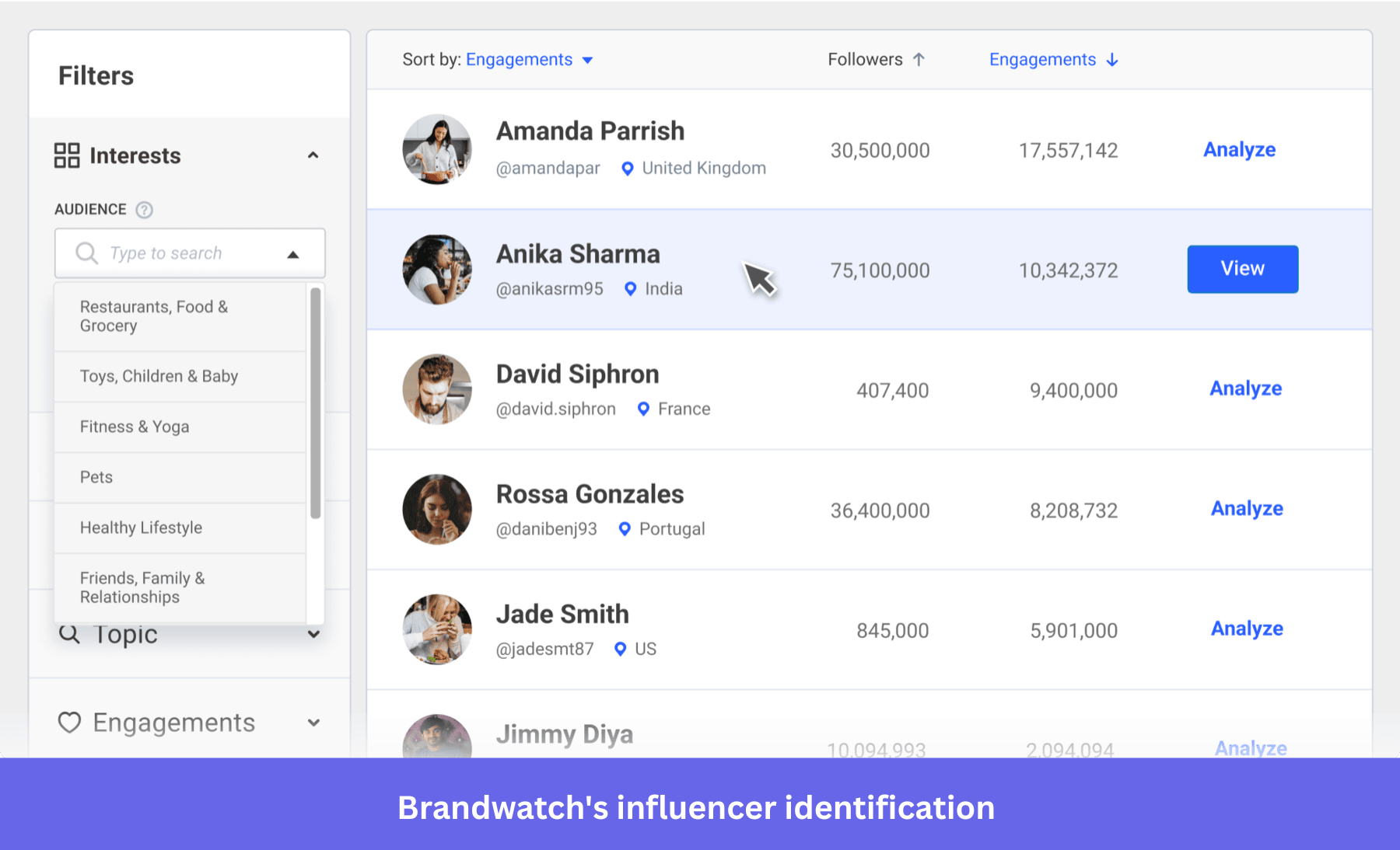 Brandwatch's influencer identification feature