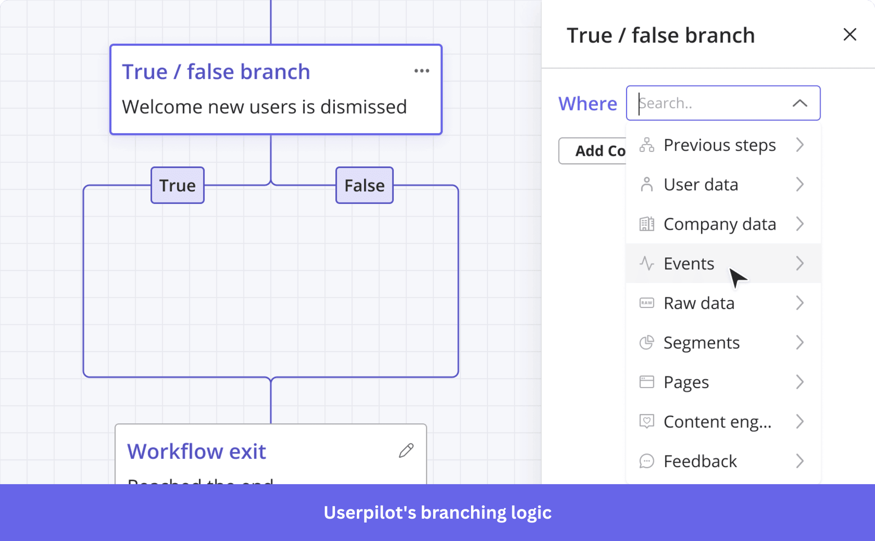 Userpilot's true/false branching logic