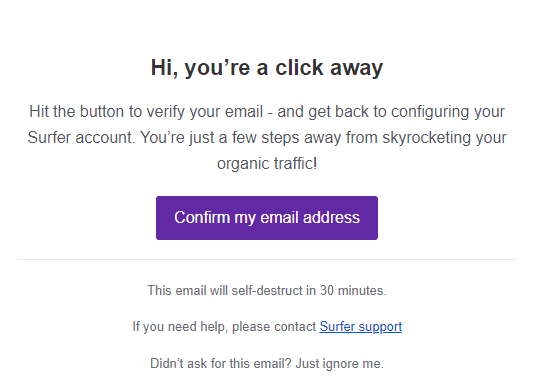 Surfer conversion path