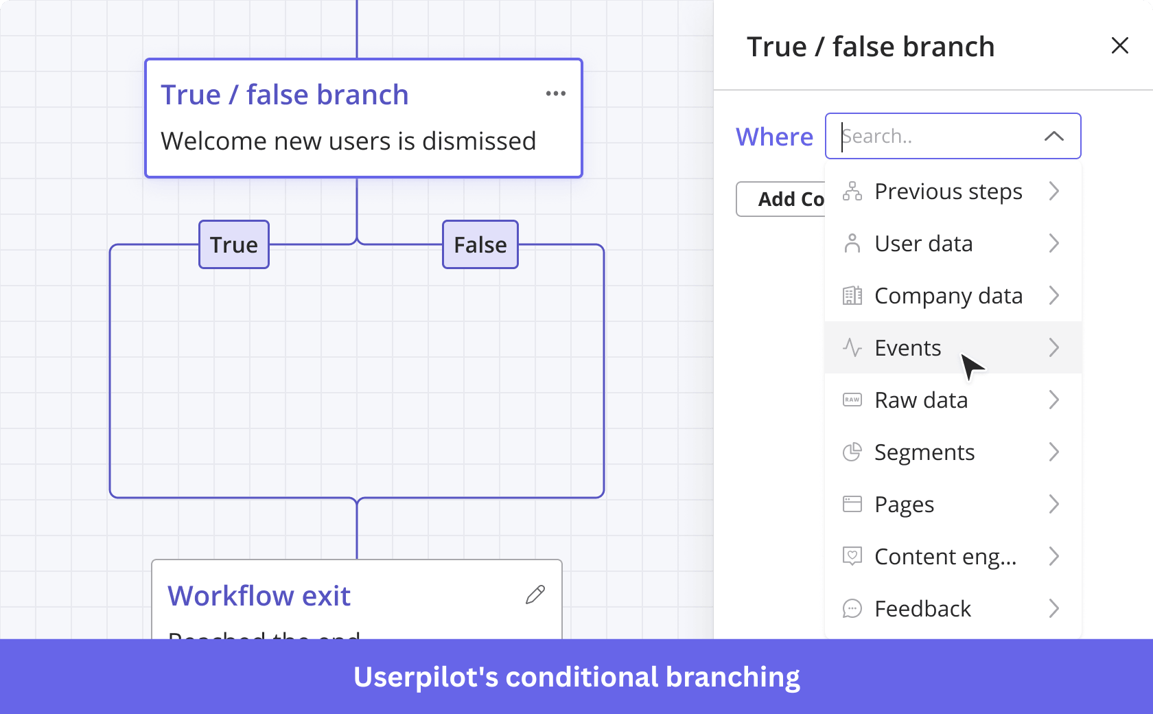 Userpilot's true/false branching logic.