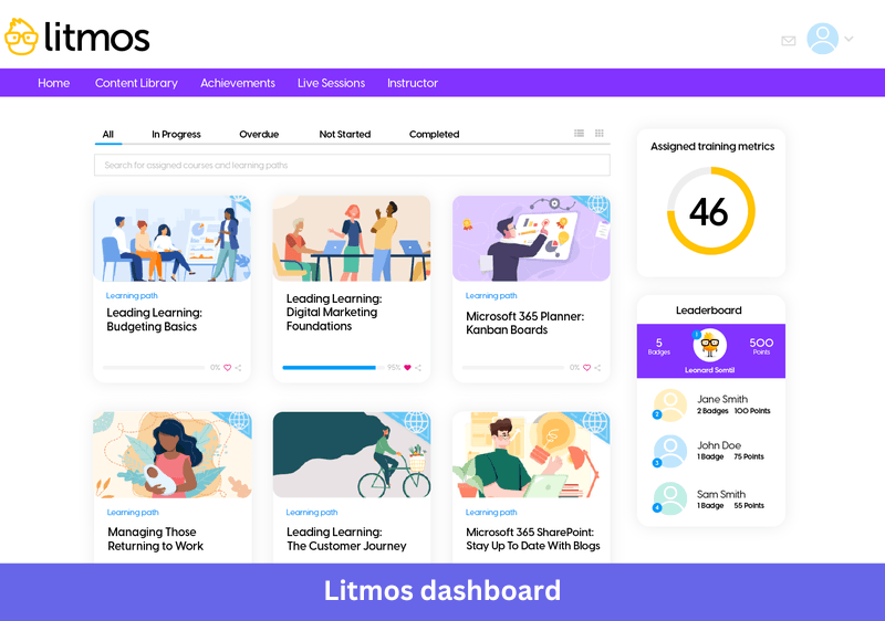 Litmos learning management system