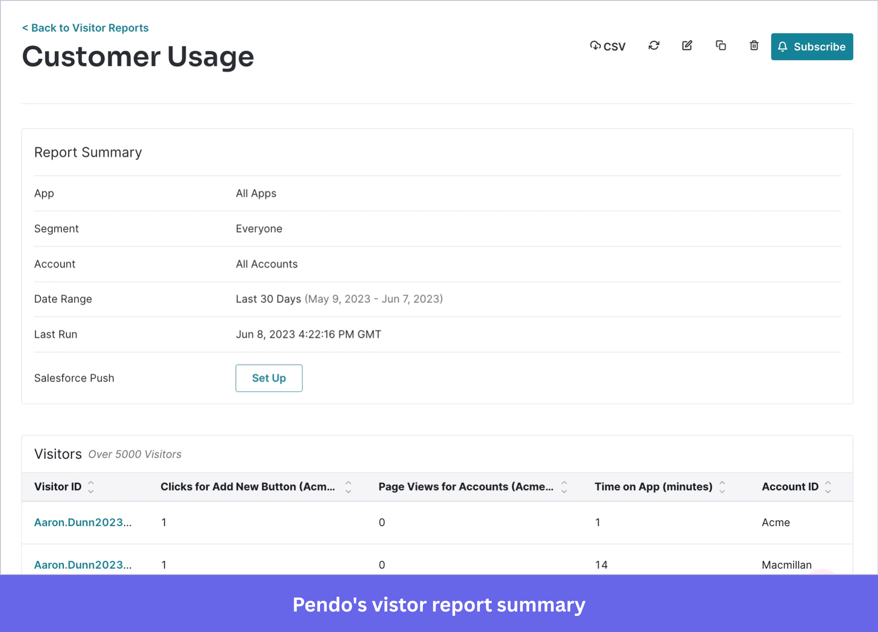 Pendo's vistor report summary