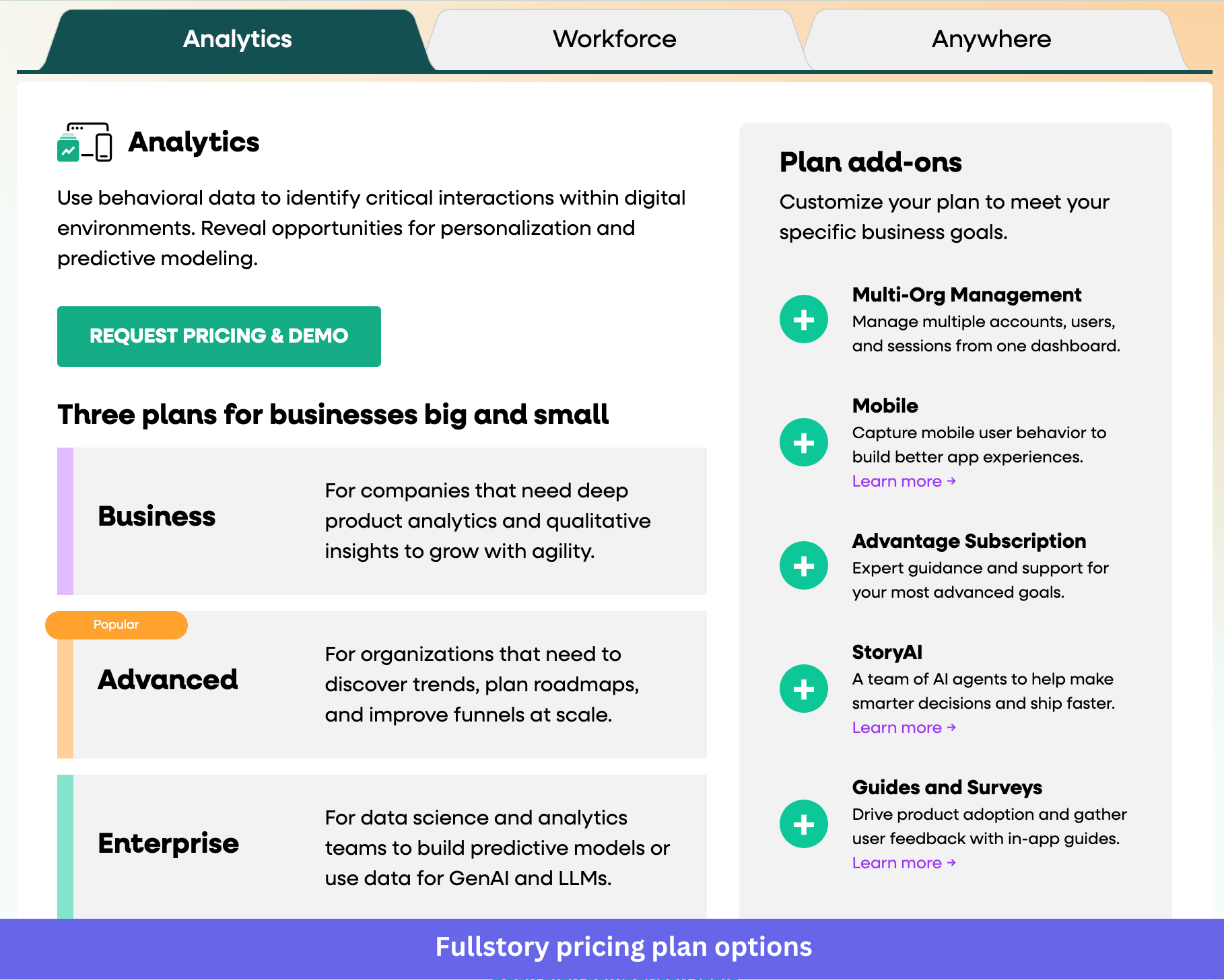 Fullstory pricing plan options