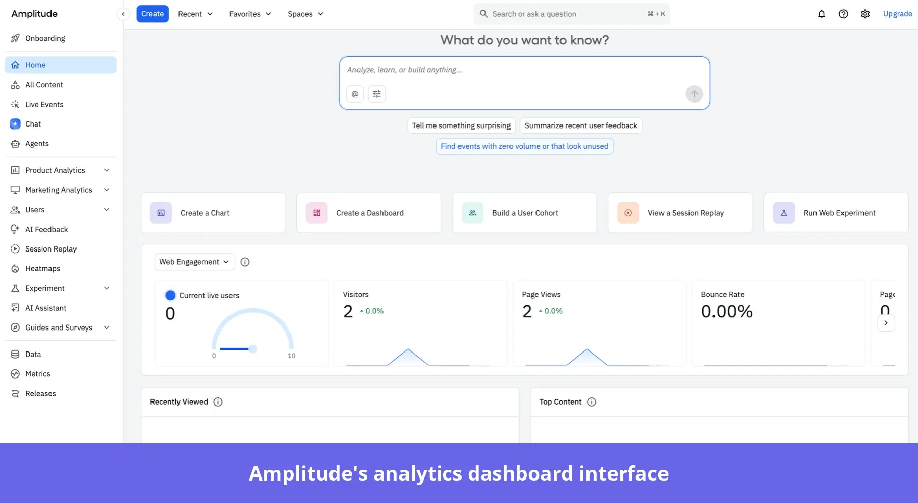 Amplitude's analytics dashboard interface
