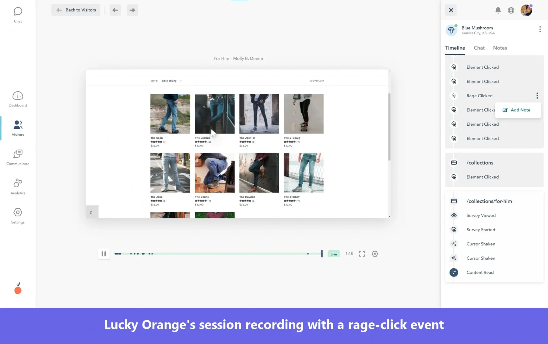 Screenshot of a Lucky Orange session replay player interface