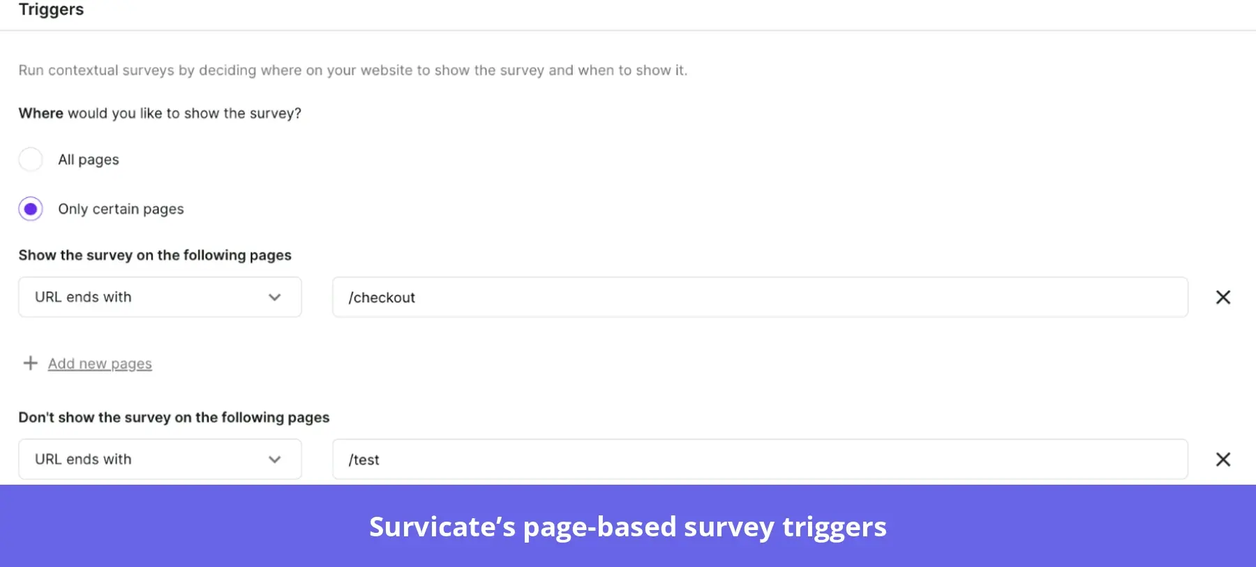 Survicate's page-based survey triggers